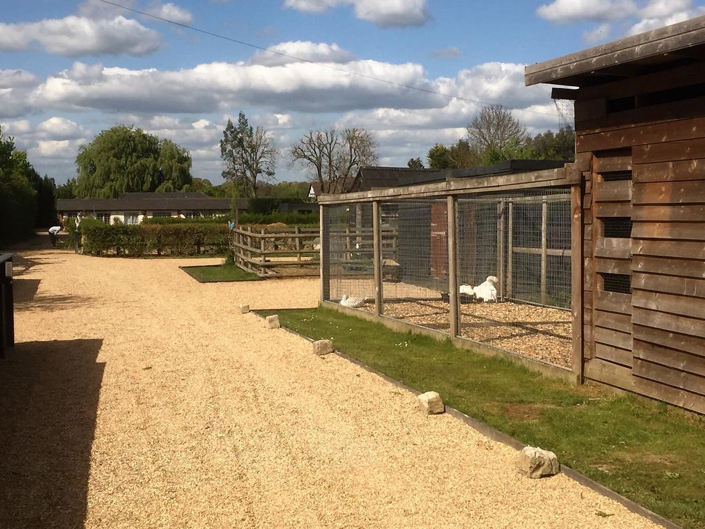 Willow Court Farm Studio West & Petting Farm, 8 Mins To Legoland & Windsor, 15 Mins To Lapland Uk Villa Ngoại thất bức ảnh